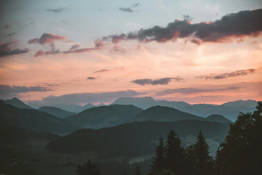 pexels-stywo-1261728 copy