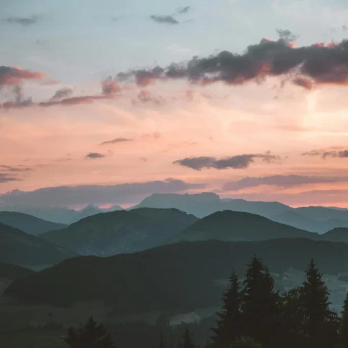 pexels-stywo-1261728 copy